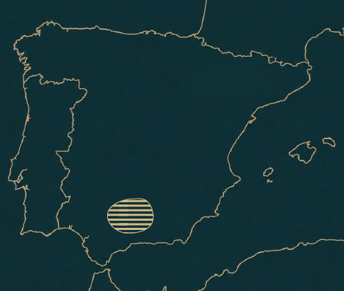 Mapa de localización de Ronda Ibex